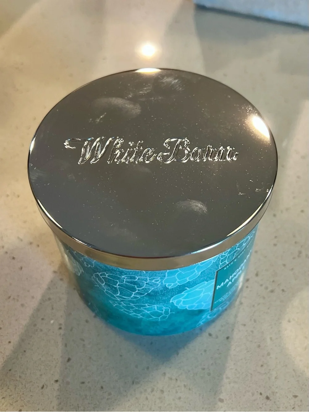 Bath & Body Works Mahogany Apple Scented Candle - NWT